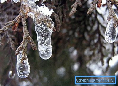 Če temperatura ponoči pade pod ničlo, zgodaj izklopite ogrevanje