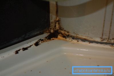 Fotografija plesni v tuš kabini Fotografija plesni v tuš kabini