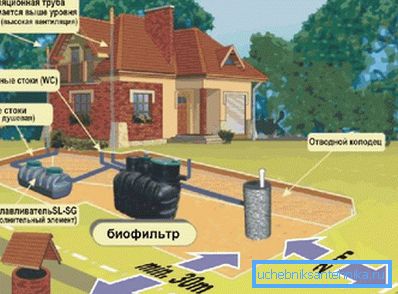 Kje postaviti greznico