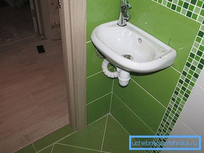 Mala potapljača na steni Mala potapljača na steni