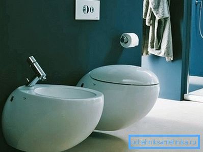 3953 Dizajnerski WC in bide