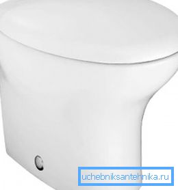 Na fotografiji - porcelanski WC Na fotografiji - porcelanski WC