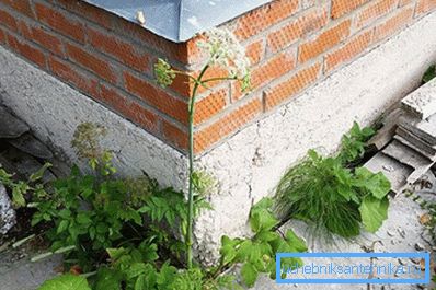 1211 Crusting Basement Beton