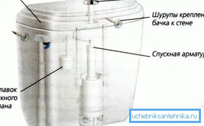 Glavna vozlišča odvodnega sistema. Glavna vozlišča odvodnega sistema.