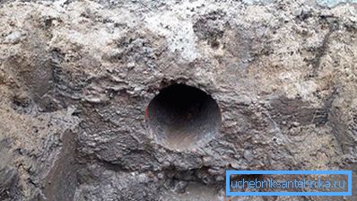 Hole v fundaciji