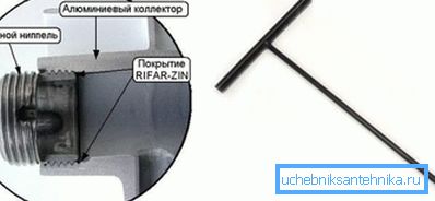 Primer bradavice Primer bradavice