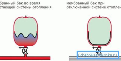 Načelo membrane