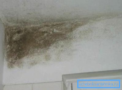 Množenje plesni je posledica slabega kroženja zraka v stanovanju. Množenje plesni je posledica slabega kroženja zraka v stanovanju.
