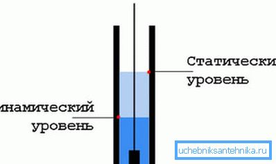 Shema normalne lokacije dinamične in statične ravni