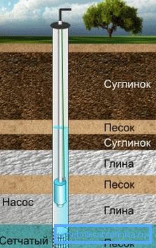 No, vzorec No, vzorec