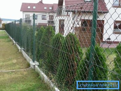 V tem primeru se majhne cevi uporabljajo kot stojala za zbiranje.