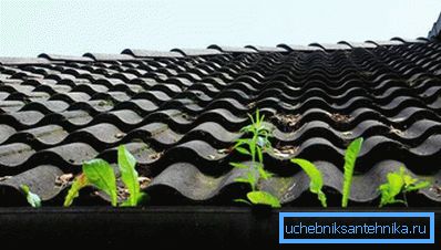 Dirt se je nabral v žlebu