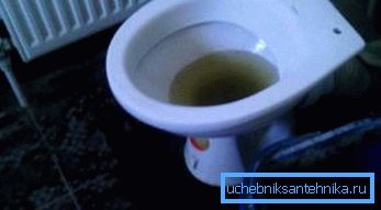 Zamašen WC Zamašen WC