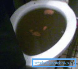 Zamašeni WC je treba čim prej očistiti. Zamašeni WC je treba čim prej očistiti.
